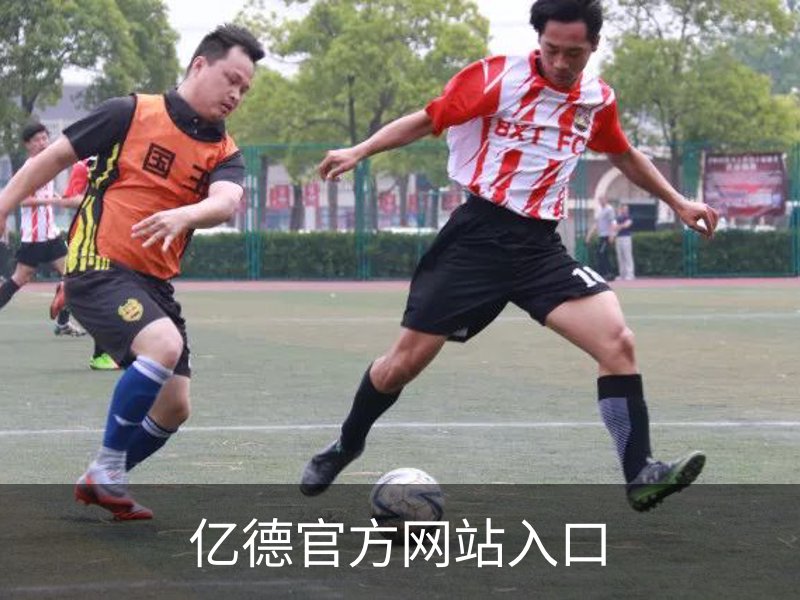 亿德官方网站入口概况